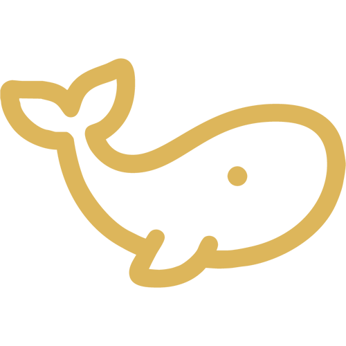 DataWhale